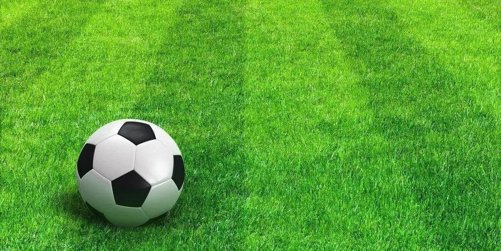 足彩竞彩官网数据分析界面